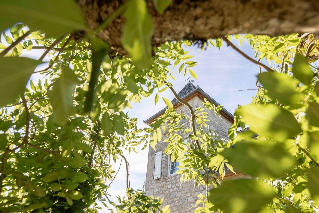 ReilhaguetDomaine La Garenne住宿加早餐旅馆 外观 照片